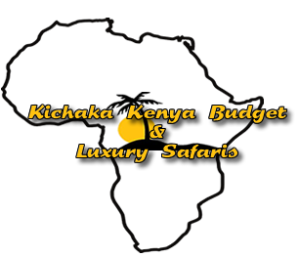 Kichaka Kenya Budget and Luxury Safaris. We offer Budget and Luxury Tours and Travel Services, Hotel Booking and Car Hire In Kenya, Uganda, Tanzania, Rwanda and Burundi. Email: info@kichakakenyabudgetandluxurysafaris.com | Tel: +254 773 317 545